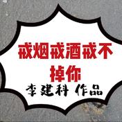 戒烟戒酒戒不掉你(李建科)