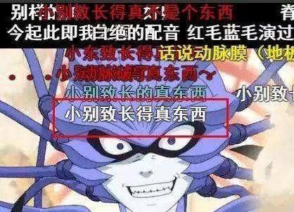 阿珍爱上了阿强,小东西长得真别致