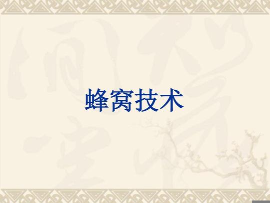 蜂窝移动通信技术论文组网技术终端技术蜂窝移动通信技术蜂窝织法