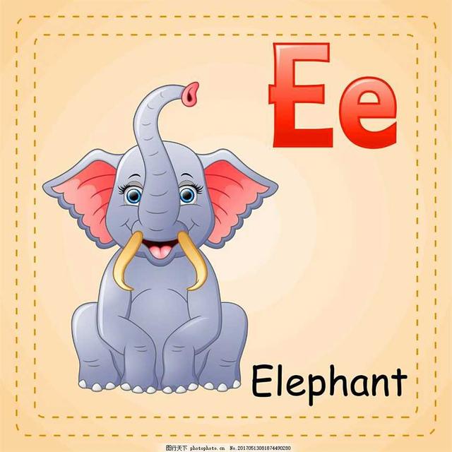 大象的英語單詞 大象的各部位英語單詞