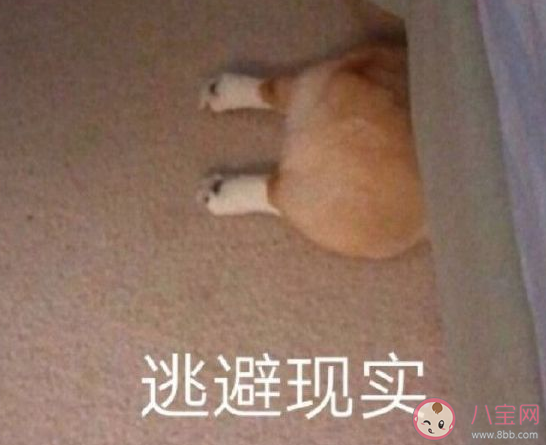 形容休息不上班的心情说说