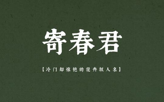 那些冷门却惊艳的花卉拟人名|文学积累