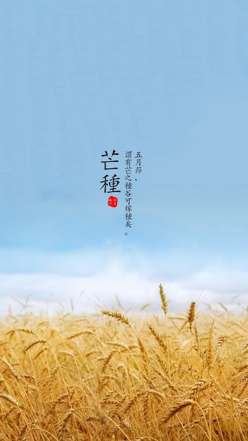 芒种节气怎么给孩子养生