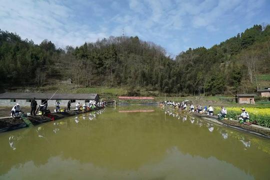 熨事┇回乡创业劲头足,变身塘主助力家乡旅游发展
