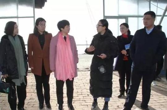 市妇联到我县调研农村巾帼创业工程重点项目