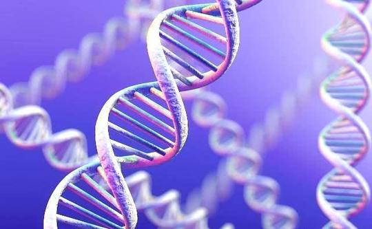 研究发现胰腺癌有家族倾向