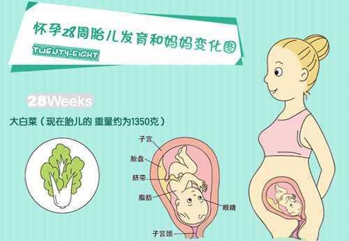 女性在怀孕28周时需要做血常规