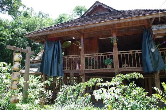 "勐景来"是傣语,"勐"是村寨,"景来"是龙的影子,这里号称中缅第一寨.