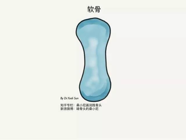 5个月宝宝生长发育指标