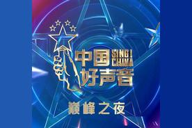 以后别做朋友(王靖雯不胖)