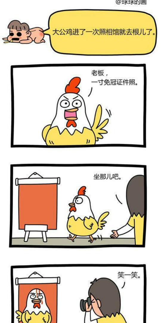 公鸡的免冠照-漫画,搞笑图片,幽默笑话,搞笑段子,爆笑图片