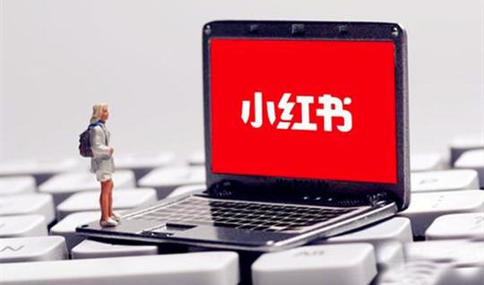 互联网创业做什么好?更容易上手操作的带货平台有哪些?