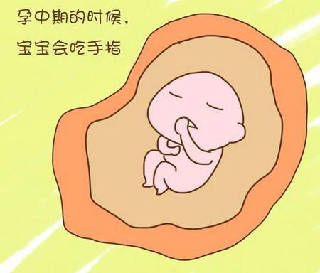 怀孕后孕妈会影响胎儿的动作有哪些