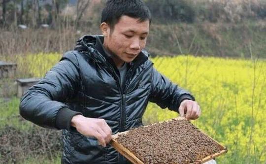 农村在家做什么挣钱，不起眼的暴利商机让穷人翻身-义乌财富网