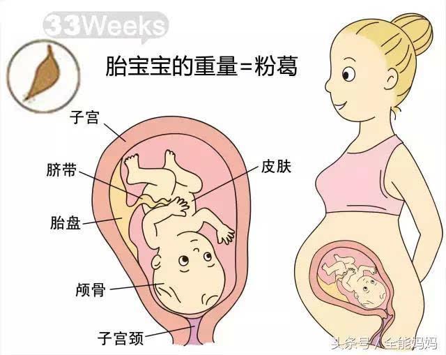 怀孕33周胎儿的变化及注意什么
