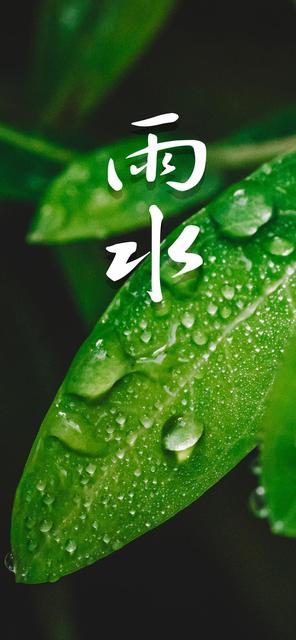 2020年雨水节气朋友圈文案