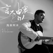 言不由衷的人(海来阿木)