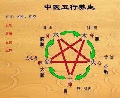 黄帝内经:疾病的阴阳与疗法