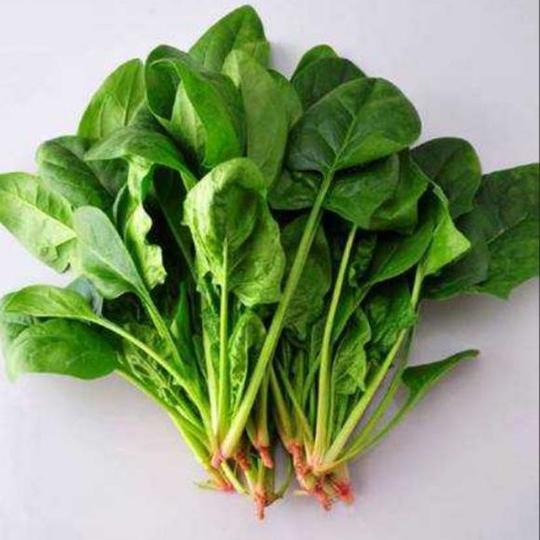 【蔬之鲜】新鲜菠菜限时特卖本地菠菜500g