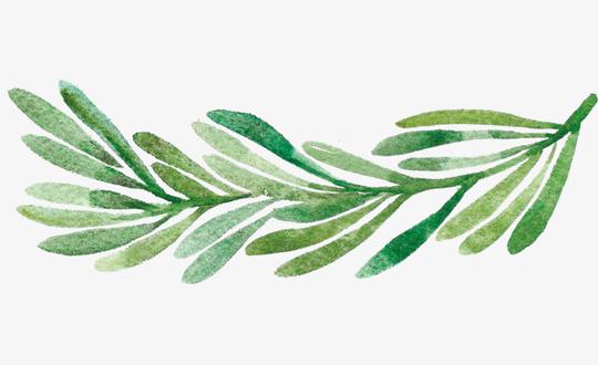 环保绿色植物素材