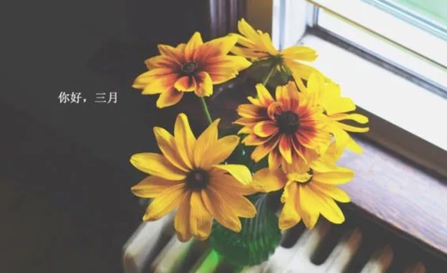 2020十一月最后一天说再见的心情说说