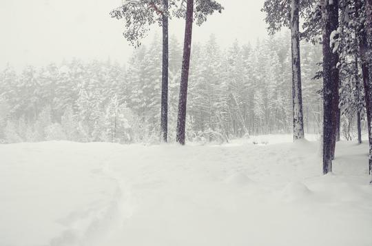 下雪_冬天_漂亮_图片大全—全景创意图库（quanjing.com）中国领先的正版图片视频素材网站