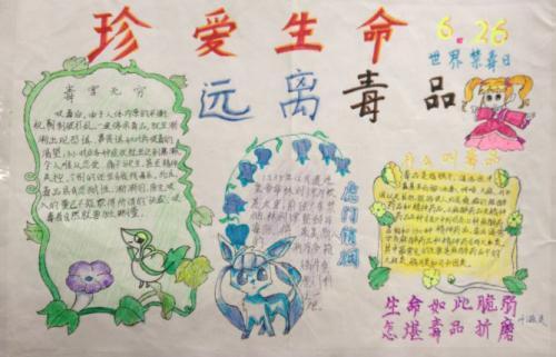 珍爱生命远离毒品的禁毒心得体会800字