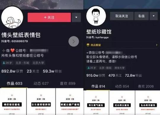 拳王虚拟项目公社:抖音偏门暴利虚拟资源项目分享，抖音壁纸号年赚20w