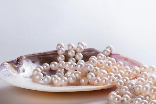 海洋中的所有贝类都能产生珍珠吗？
