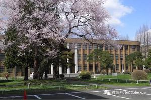 鲁迅什么时候去日本留学的 留学知识网