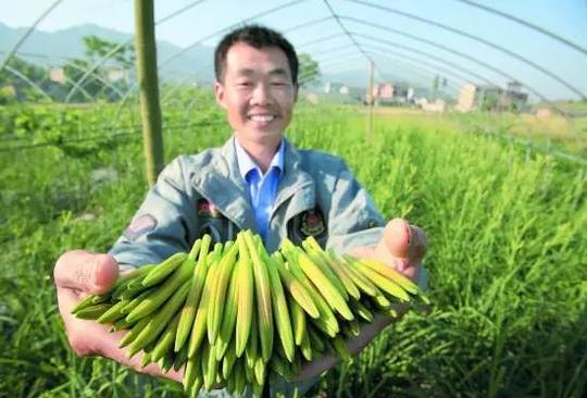 在当下农村,投资这四个项目最赚钱!