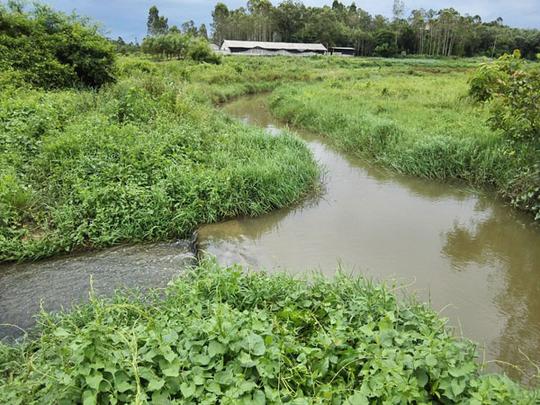 2016年博白县文地镇高标准农田建设项目,灌溉排涝,公.