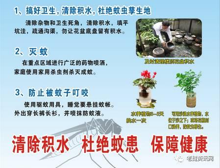 登革热病可以预防吗