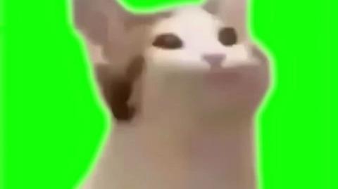 【绿幕素材】猫突然发出嘴巴的声音绿幕素材免费无水印自取[640hd]