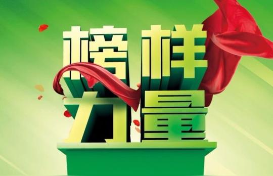 宜宾返乡农民工创新创业之星顾凤:带动邻里致富打造"沉香小镇"建设美