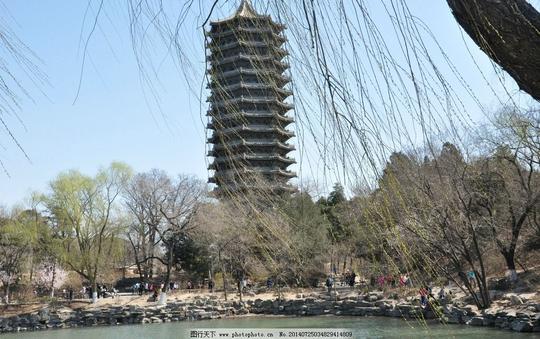 北京大学鼓楼塔风景田园风光湖水树林垂柳图片素材