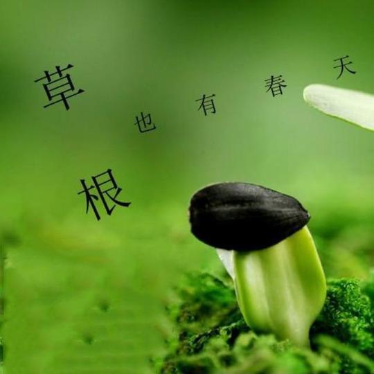 草根的零成本创业之路