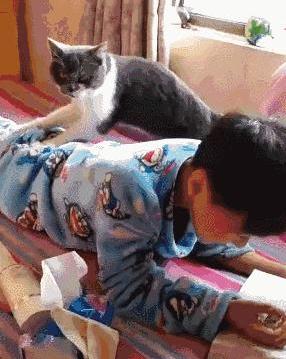 猫咪认真的给学习中小主人按摩,这表情,完全不受打扰