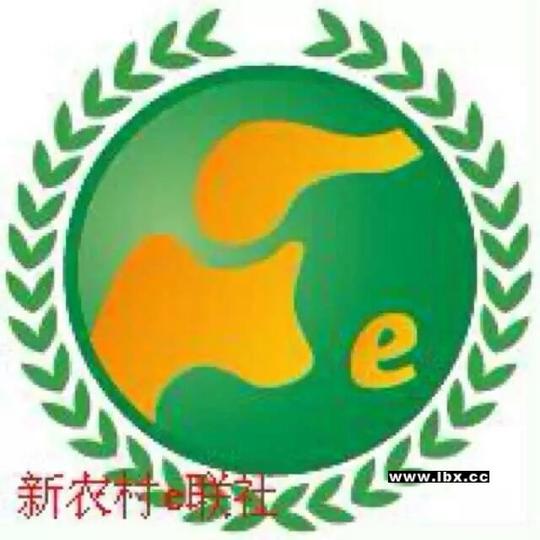 叶县创业加盟叶县招商加盟叶县互联网加盟新农村e联社项目是河南