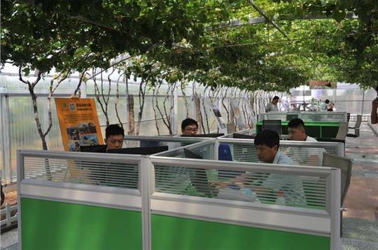 农民创业投资五大模式引领“农创平度”总投资60亿带动农民创新创业