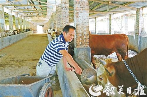 的经验尽快带领农民增收致富.近日,他正在洽谈引进生意合伙人扩大