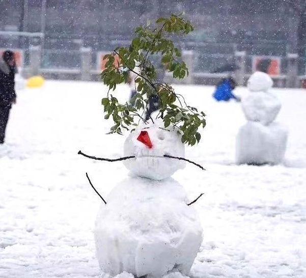 冬天堆雪人打雪仗作文200字