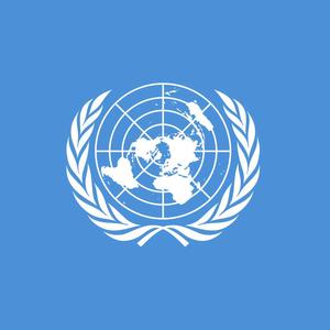 联合国的官方旗帜和标志
