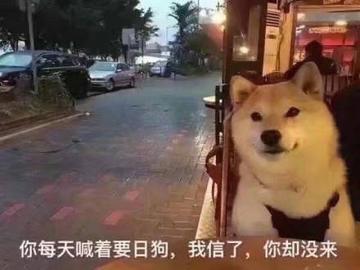 我真是日了狗了搞笑表情包