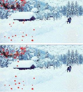 南疆风景震撼大气视频素材冬天雪景下雪梅花飞鸟视频冬日冬天雪景