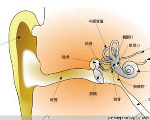 宝宝吃东西噎住了怎么办