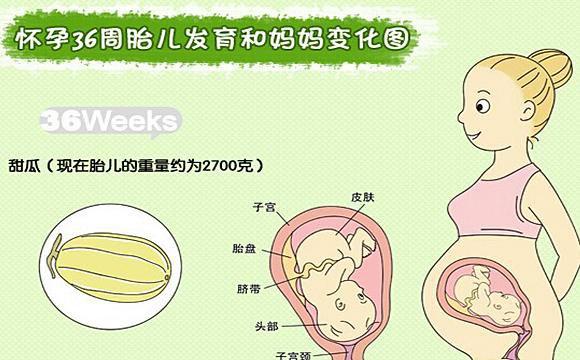 宝宝6-9个月发育标准