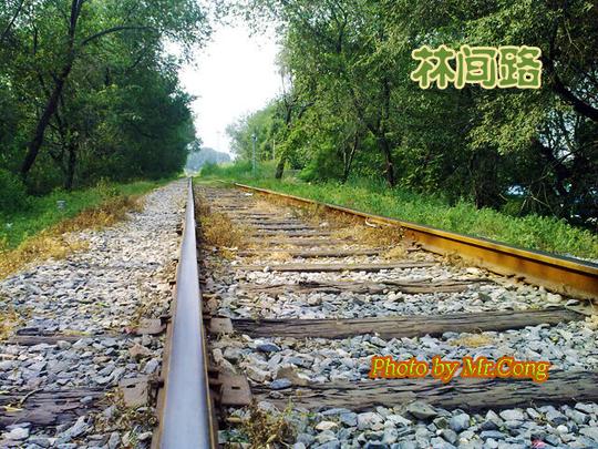 林间路