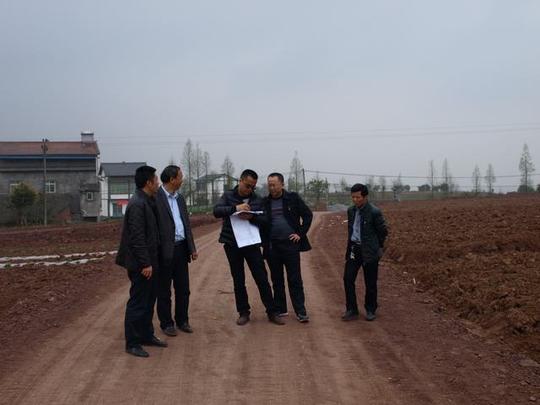 合川区顺利完成2015年度高标准农田建设项目规划设计工作