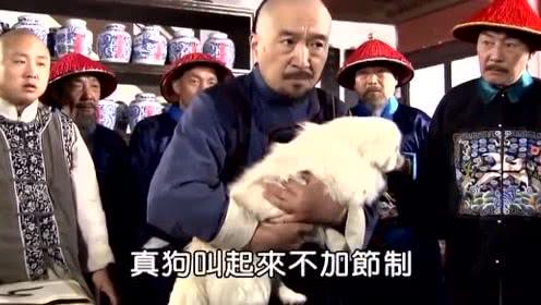 宝宝喜欢学狗叫什么回事